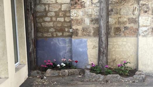 https://preprod.proterrasancta.org/wp-content/uploads/LEB_Gemmaizhe-1-524x300.jpg